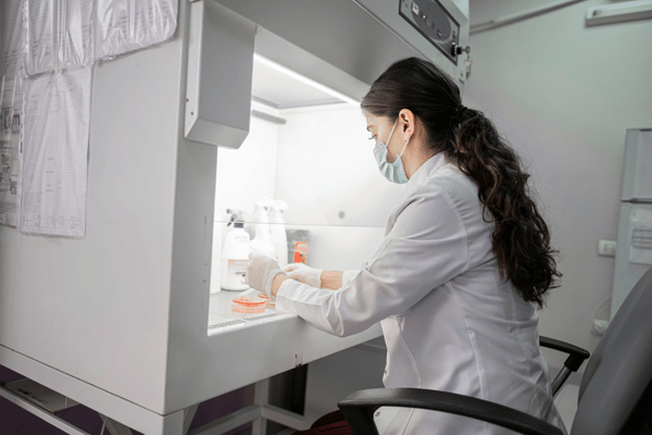 Transmission & Distribution