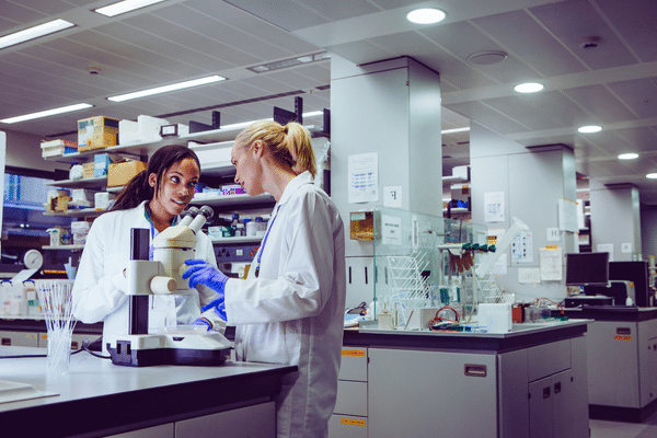 Transmission & Distribution